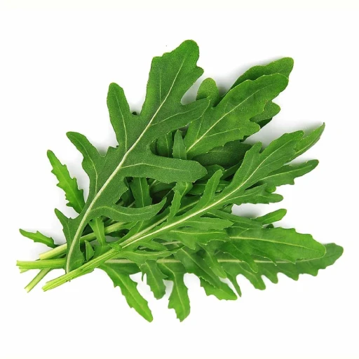 Arugula, Garden Rocket, Roquette, Eruca