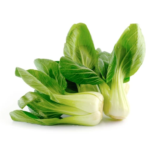 Bok Choy, Pak Choi, Chinese White Cabbage