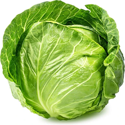 Cabbage, Head Cabbage, Red Cabbage, Savoy Cabbage