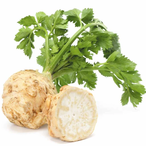 Celeriac, Celery Root, Knob Celery, Turnip-rooted Celery