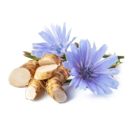 Common Chicory, Wild Succory, Blue Sailors, Coffee Weed