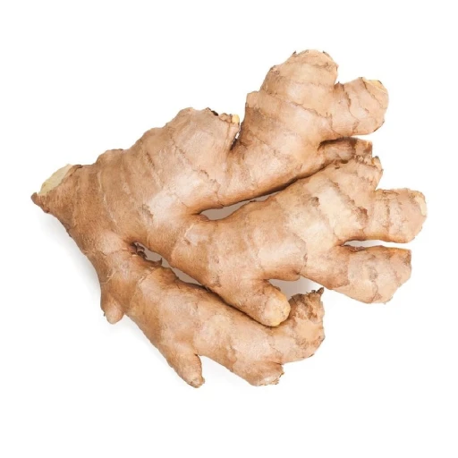 Ginger, Culinary Ginger, Garden Ginger, Ginger Root