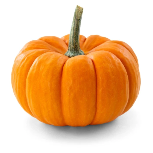 Field Pumpkin, Sugar Pumpkin, Jack-o'-Lantern