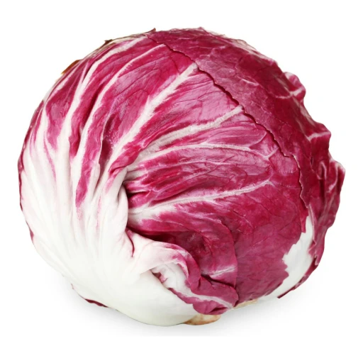 Radicchio, Italian Chicory, Red Chicory of Chioggia