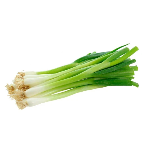 Scallion, Welsh Onion, Bunching Onion, Green Onion, Japanese Bunching Onion