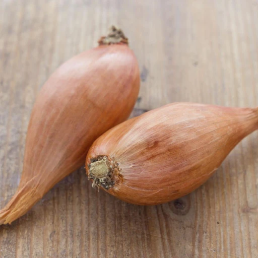 Shallot, French Shallot, Multiplier Onion, Eschalot