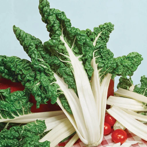 Swiss Chard, Silverbeet, Rainbow Chard, Mangold
