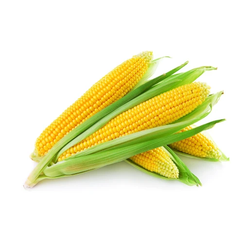 Sweet Corn, Sugar Corn, Table Corn